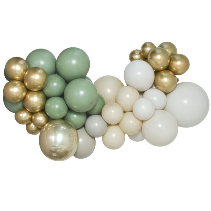 BALLONGBUE EUKALYPTUS! 1,6 m Ferdig oppblåst