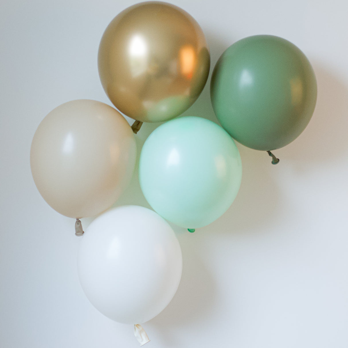 BALLONGPAKKE EUCALYPTUS 28 CM (30 STK)