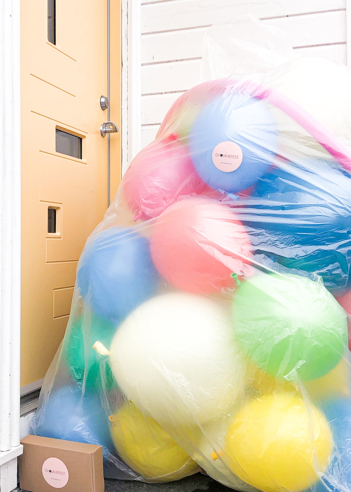 BAG of FUN!